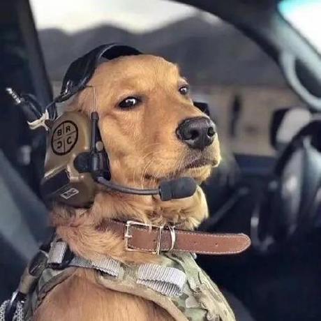 Vue Devui Npm - Download Ultra HD Mountain Wallpaper | Desktop