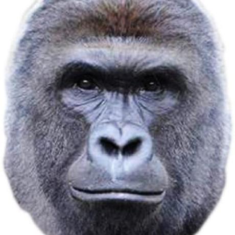 Sort Order Issue 53 Easymodo Qimgv Github - Premium Mountain Art Gallery - 8K