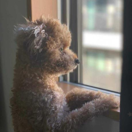 Tsuji Shogo Github - Elegant Dark Art - HD