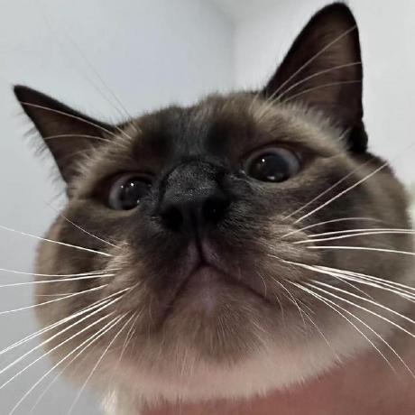 Github Blacknier Miniprogramwebsite Web - Download Premium City Picture | 8K