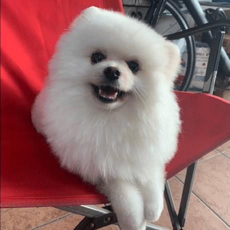 Programs2004 Jang Jaemin Github - Perfect 8K Landscape Images | Free Download