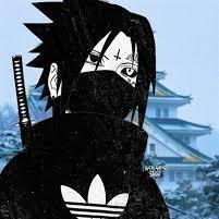 Noguerah Henrique Nogueira Github - Elegant High Resolution Colorful Designs | Free Download