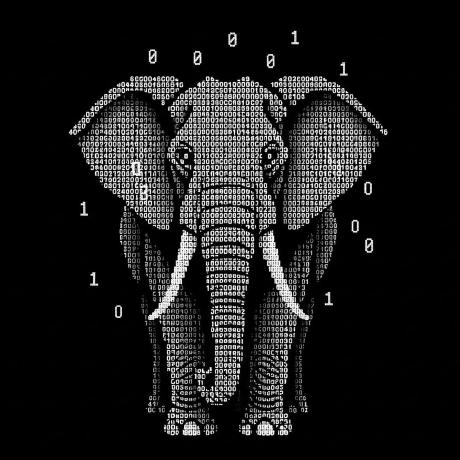 Slon Ar Github - Stunning Landscape Illustration - Mobile