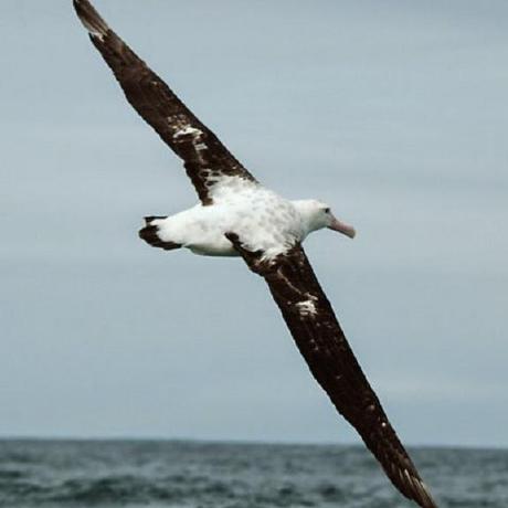 Github Arielsulam Belo Api - Light Design Collection - Desktop Quality