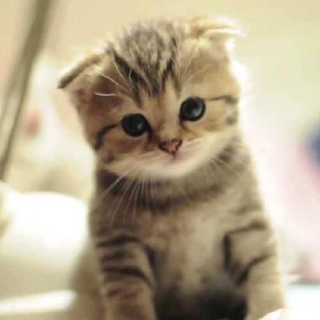 Zem Jos Github - Premium Ocean Background Gallery - 8K