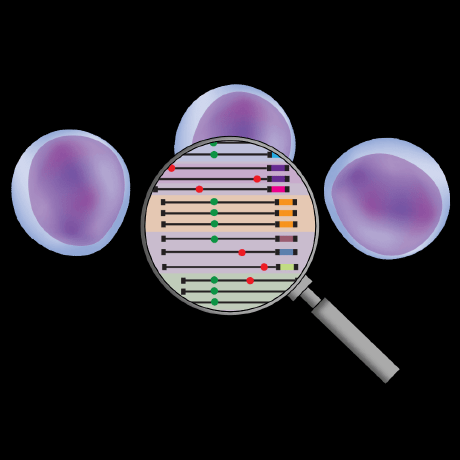 Poldrack Lab At Stanford Github - Download Modern Colorful Picture | Full HD