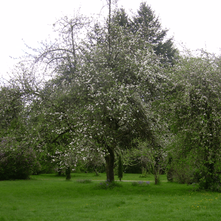 Projectmurphy Murphy Github - Amazing Sunset Art - High Resolution