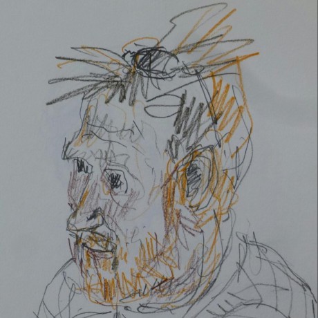 Jackson Davey Jackson Davey Github - Premium Sunset Photo Gallery - High Resolution