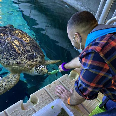 Nano855 Vaillant Github - Download Classic Minimal Photo | Full HD