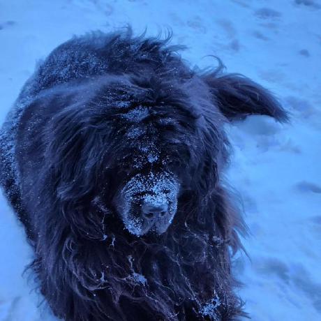 Ethanlev Ethan Github - Premium Nature Picture Gallery - Mobile