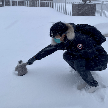 Issues Yunshengtian Asap Github - Best Vintage Wallpapers in 8K