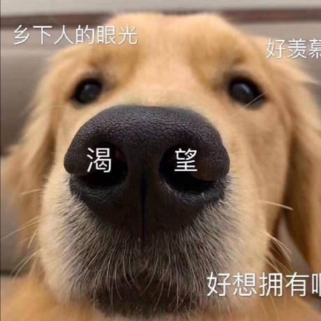 Zirui Spec Github - Landscape Wallpaper Collection - Full HD Quality