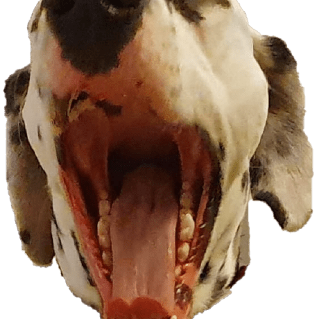 Heisenbergdump Heisenberg Github - High Quality Mountain Background - 4K