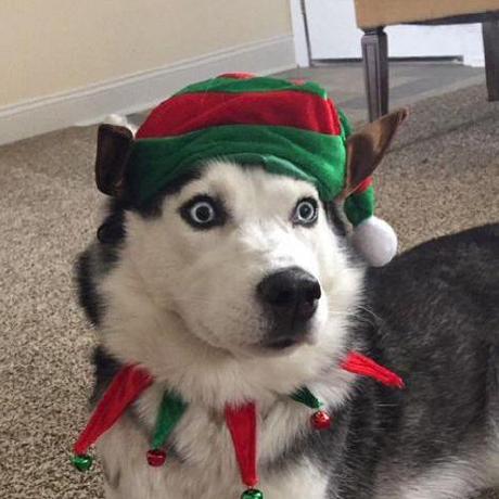 Bxn4 Bence Github - Best Vintage Illustrations in HD