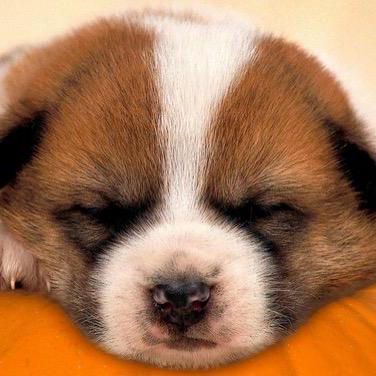 Github Zxh0 Vscode Proto3 Vscode Extension For Proto3 - Sunset Image Collection - Retina Quality