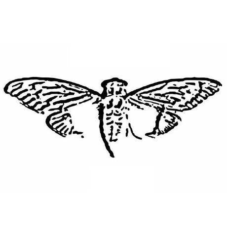 Cicadasolvers Cicadasolvers Github - Download Artistic Minimal Design | 8K