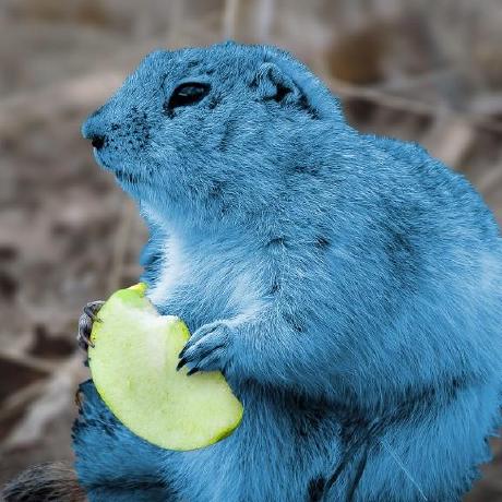 GitHub - Shockerli/go-awesome: Go 语言优秀资源整理，为项目落地加速🏃