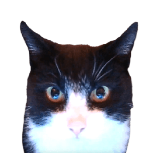 Sandh Github - Elegant Ultra HD Ocean Arts | Free Download