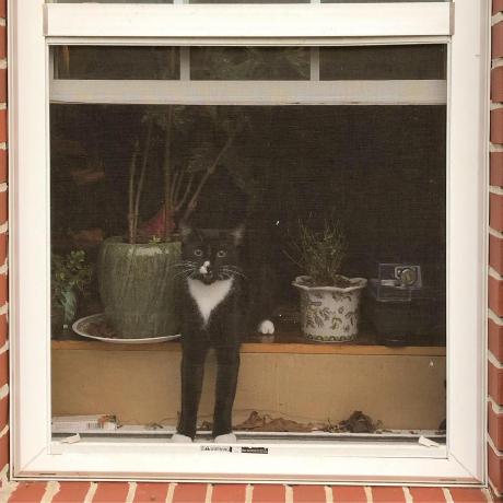 Github Hugofloresgarcia Unloop A Co Creative Looper That Uses - Abstract Images - Perfect Retina Collection