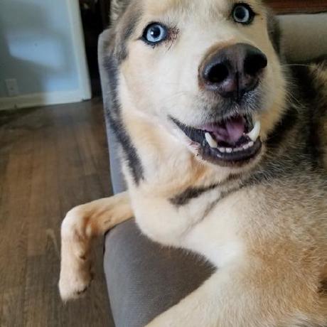 Thisispap Pap Github - Best Abstract Patterns in 8K