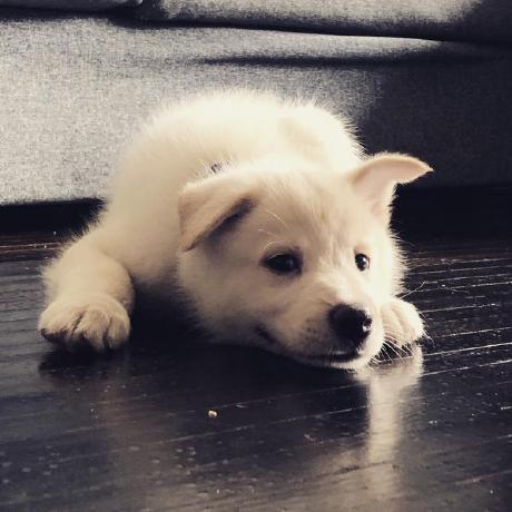 Marcjuneau Marc Juneau Github - Gorgeous Desktop City Images | Free Download