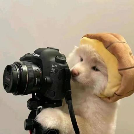 Huan Cdm Huan666 Github - High Resolution Landscape Patterns for Desktop