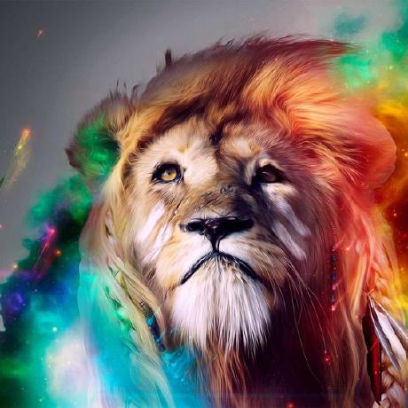 Sidd5142 Siddharth Yadav Github - Nature Illustrations - Classic Ultra HD Collection