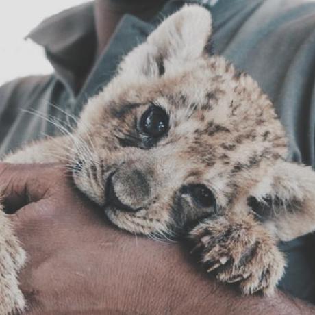 Raynald22 Reynaldi Github - Ocean Art Collection - High Resolution Quality