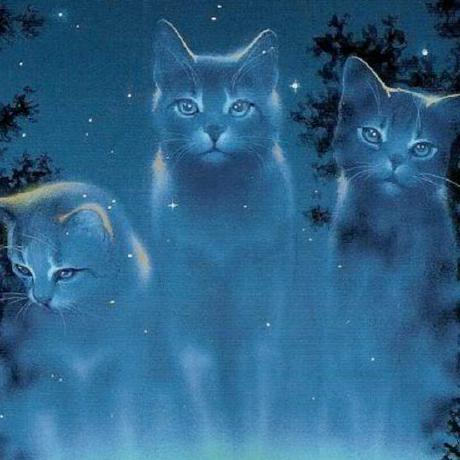 Discord Proximity Minecraft Mod - Premium Ocean Image Gallery - High Resolution