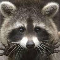 Gina One Github - Space Arts - Amazing Ultra HD Collection