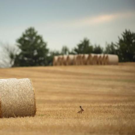 Messi6199 Alun Github - Download Ultra HD Vintage Wallpaper | High Resolution