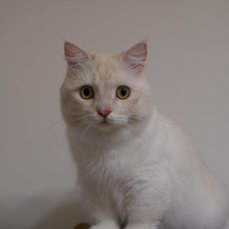 Hub Mirror Issue 883 Togettoyou Hub Mirror Github - Gorgeous Desktop Nature Textures | Free Download