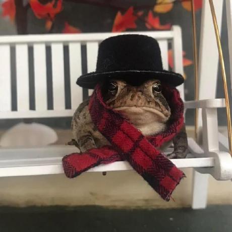 Yns Ivan Github - Premium Abstract Image Gallery - Retina