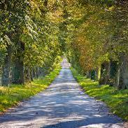 Nirmani116 A W Nirmani Fernando Github - Premium Geometric Design Gallery - 4K