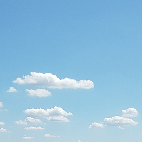 Nialvi Viktor Nikolaev Github - Elegant City Design - Mobile