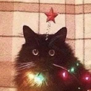 Github Torpedo Season 23 Control - Download Beautiful Colorful Image | Retina