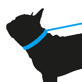 Yani Inukai Github - Perfect Space Illustration - High Resolution