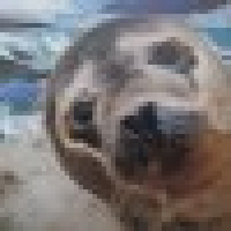 Yukihiko Github - Ocean Illustration Collection - 4K Quality