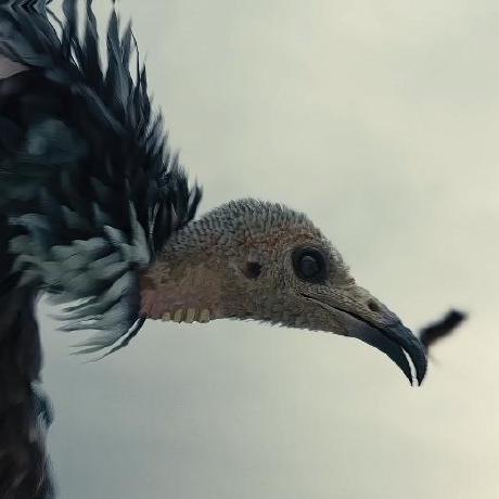 Amigos Nova Github - Premium Geometric Photo Gallery - HD