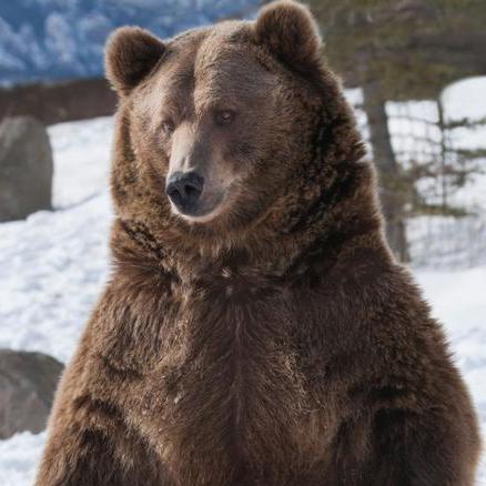 Seifert69 Michael Seifert Github - Vintage Picture Collection - Retina Quality