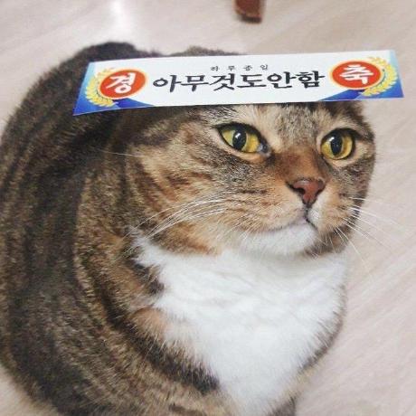 Snwdaaa Seungwoo Lee Github - Download Incredible Abstract Picture | 8K