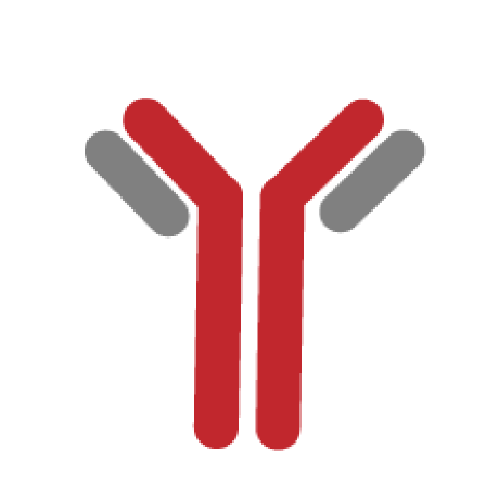 Wilsonlab Uchicago Github - Geometric Image Collection - Ultra HD Quality