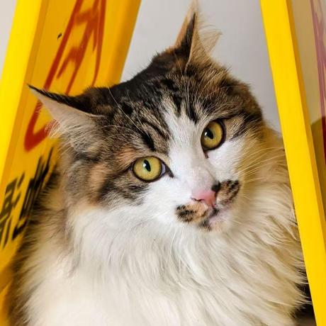 Koorye Koorye Github - High Quality Mountain Texture - Full HD