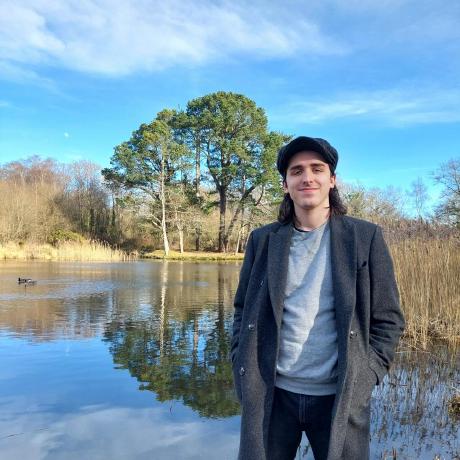 Ddascalescu Dan Dascalescu Github - Best Mountain Arts in Retina