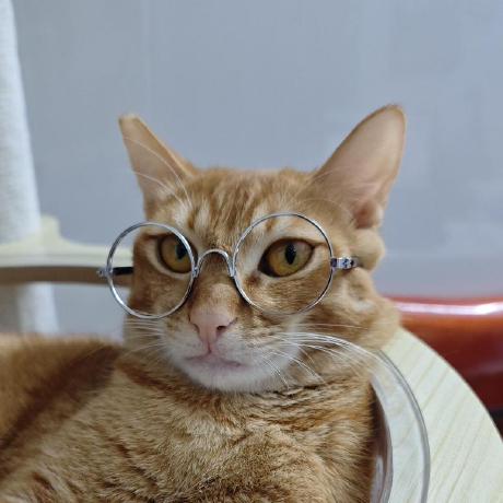 Wenretium Wenretium Github - Best Dark Patterns in 8K