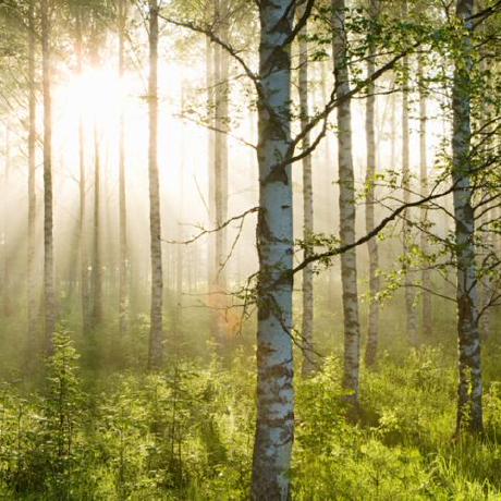 Calvertyang Calvert Github - Desktop Dark Textures for Desktop