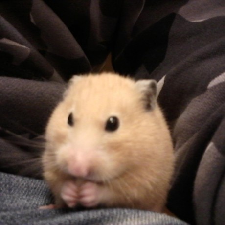 Igpf Motoki Fuki Github - Best Abstract Designs in Ultra HD