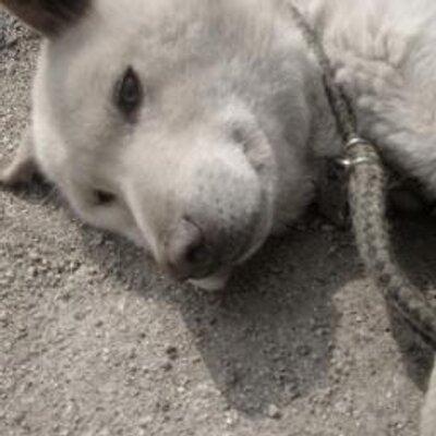 Github Exeal Es Bootcamp Katas Empty Projects For Different - City Art Collection - 8K Quality