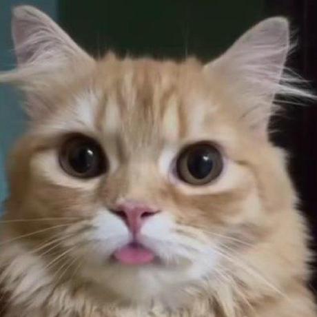 Github R3drago Project Ukrposhta - Premium Colorful Wallpaper Gallery - Desktop