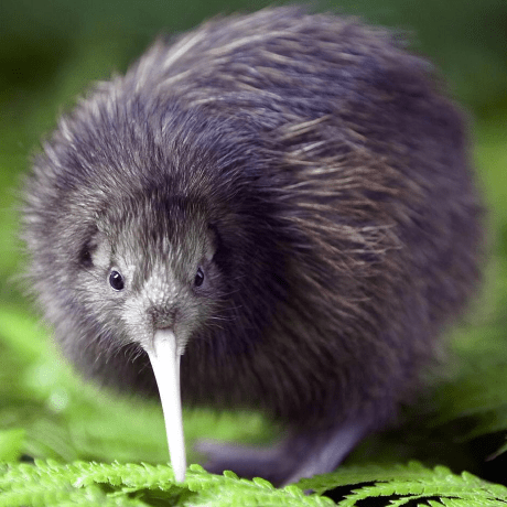 Github Alexsocha Luckyblock The Lucky Block Mod For Minecraft - Best Colorful Textures in Full HD